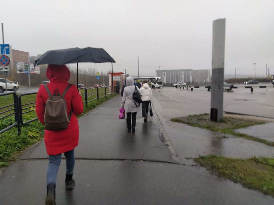 Лето отменяется: один солнечный день на весь июль - синоптики обновили прогноз