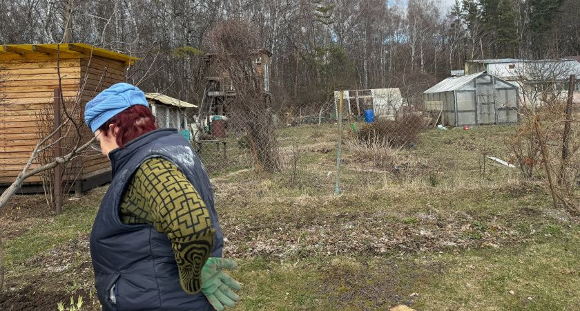 И работающим, и неработающим: пенсионеры получат разовую выплату в мае - касается всех у кого есть дача или участок
