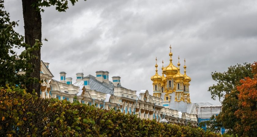 Похолодание в апреле: советы по защите растений от заморозков