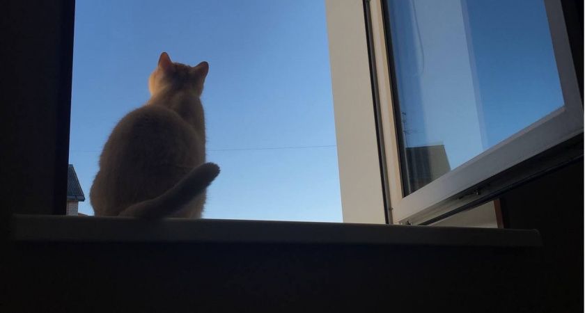 Единственный знак зодиака, который никогда не обретет свою настоящую любовь: вечные одиночки