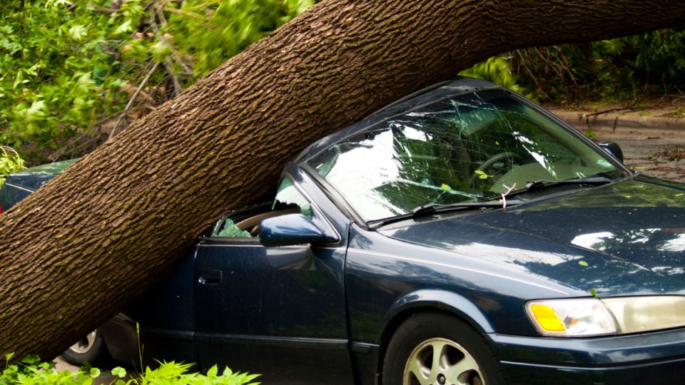 Неожиданная угроза: как старые столбы могут разрушить ваш автомобиль