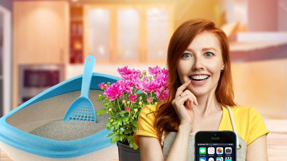Спасет смартфон и ваши цветы: неожиданная польза от наполнителя для кошачьего лотка