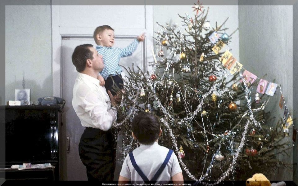 Новый дачный сезон: актуальные советы для садоводов