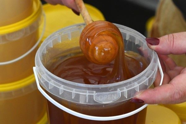 Мед и сахар: развенчание мифов о пользе сладкого продукта