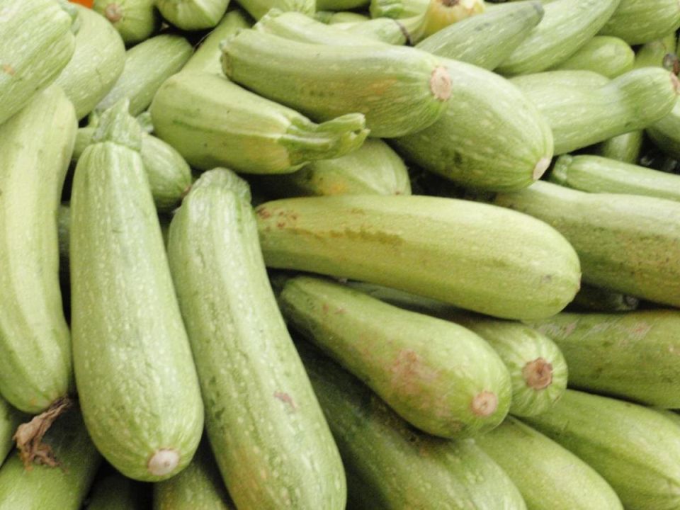 Как вырастить идеальные кабачки: секреты успешной посадки