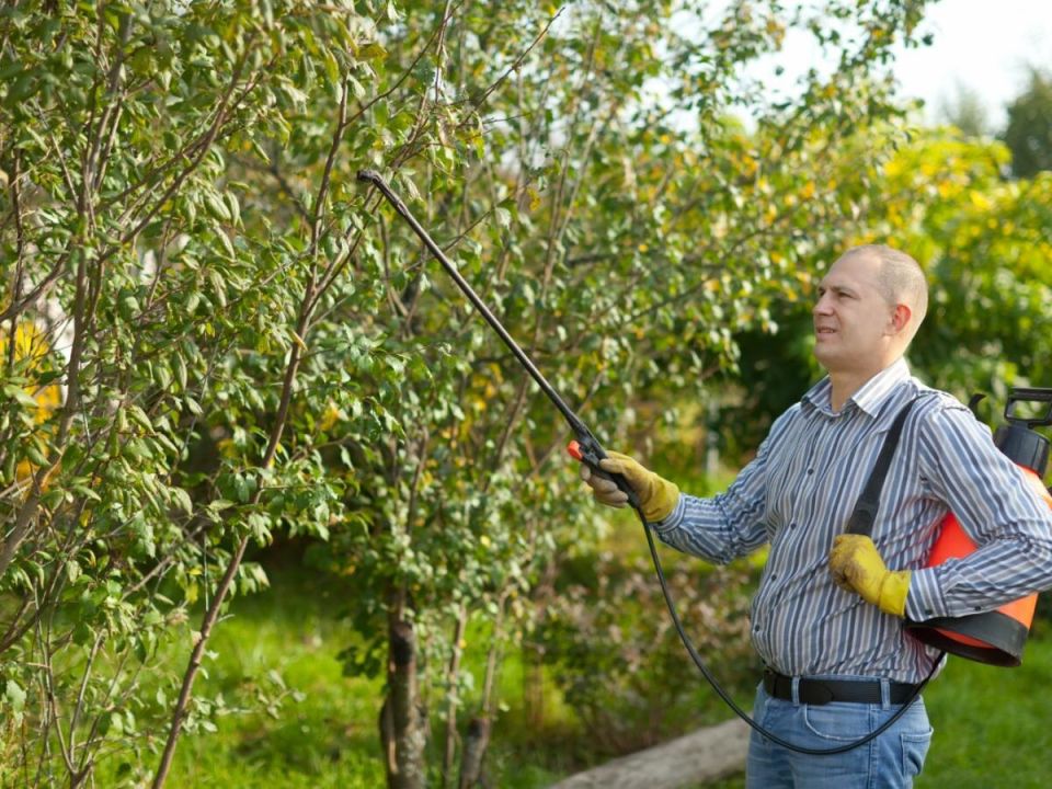 �������� ������������: ������ ������ ���� �� ����������