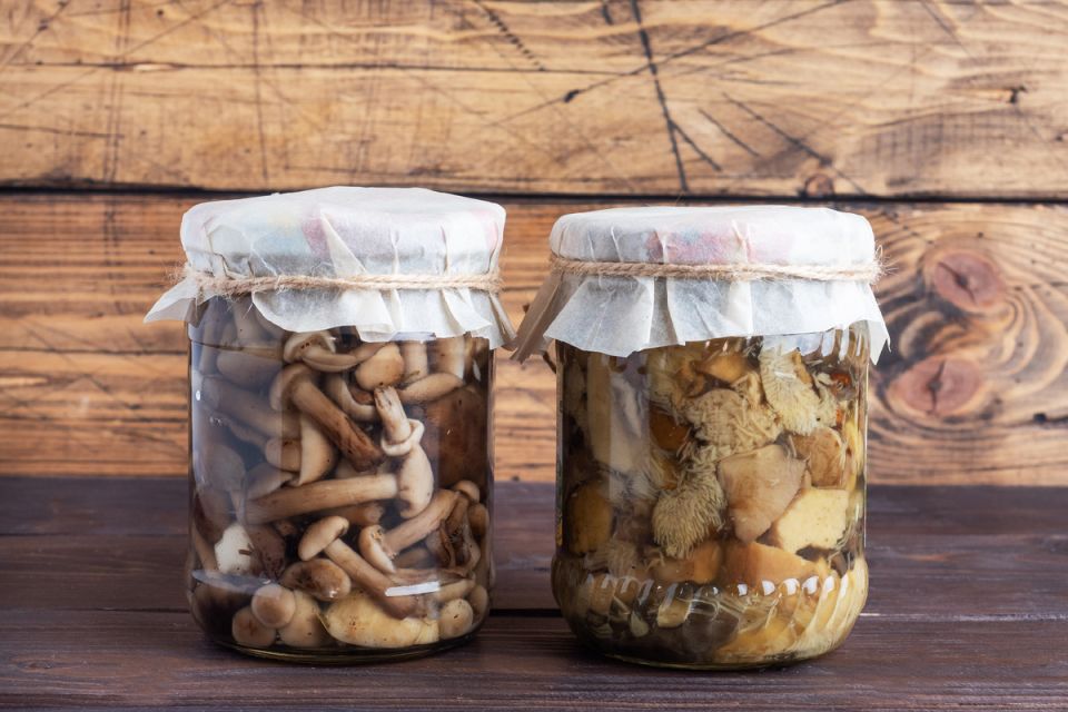 ��������� ������� ����������� ������: �������� � �������