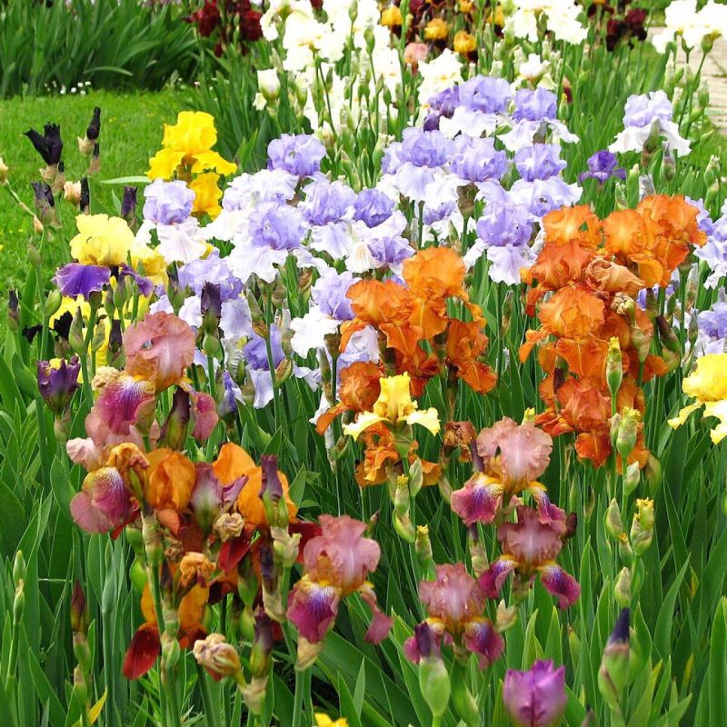 ��� ��������� ��������� ������ ����: ������� �� ������� ���������