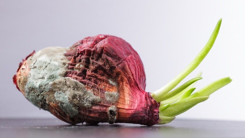 ����������� �������� ���� ��� �����: 5 ������� � ����� ����� ����