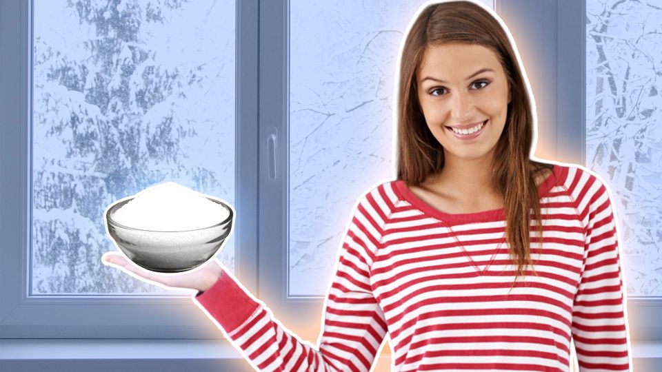 ������ �� ������� ��������: ��� ����� ������� ������ ���� �� ����������