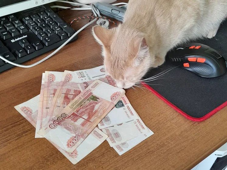 ��� ���������� ��������� � ����������� ���� ���������� � 2026 ����