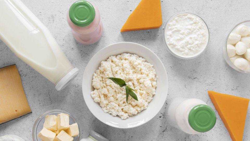 ������ ����� � �������: ������ �������� ������ �������� � ���� ��������