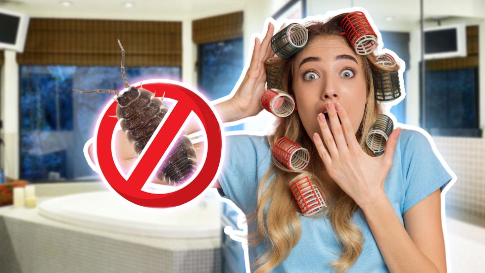 ������� ������ ���������� ������� �������: ������ ������� ���� ��������