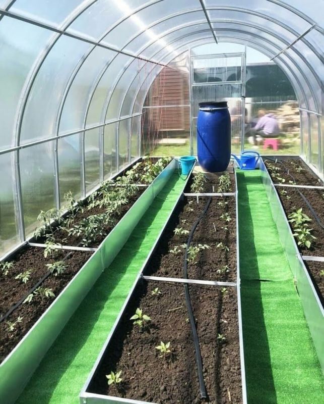 ����������� ������ ��������� ����� � �������