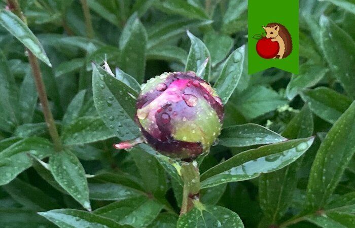 ������� ��������� �������� ������: ��� ��������� � ������ ����������� ������� ���� �����