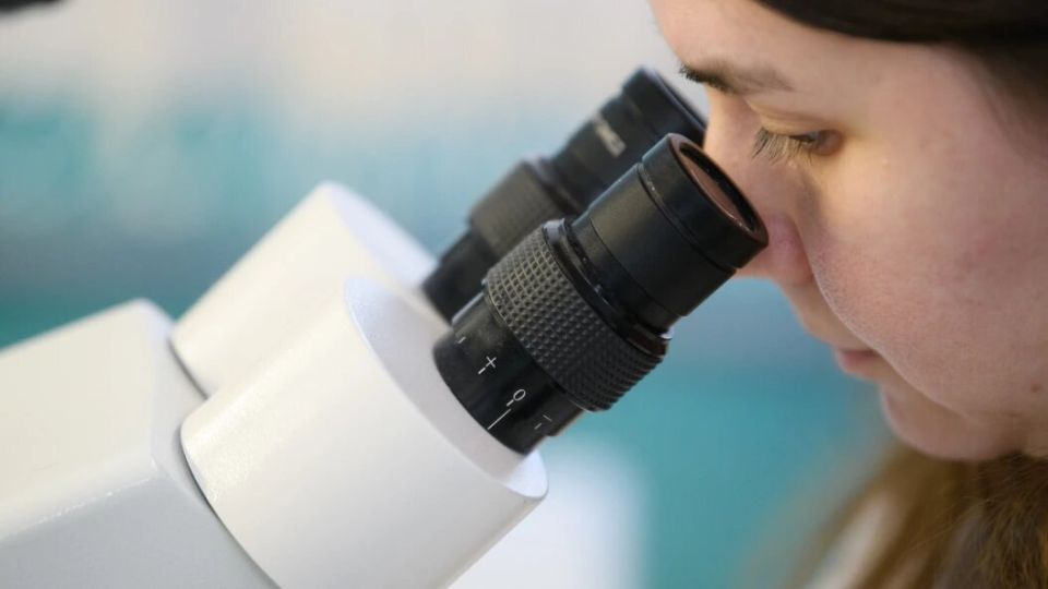 ��������� ����� ��� ���� � ��������� �����������