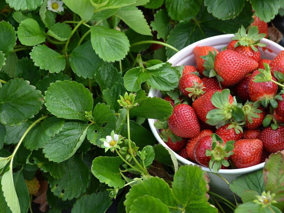 ��� ������� ����� �������� ��� ������������� ������