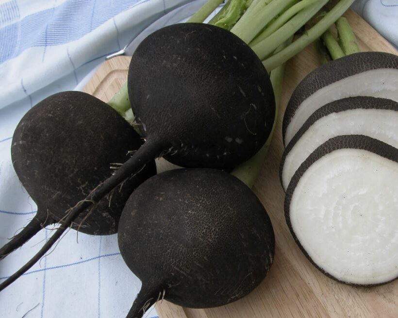 ׸���� ������: ��������� ������� � �������� � ������� ��������