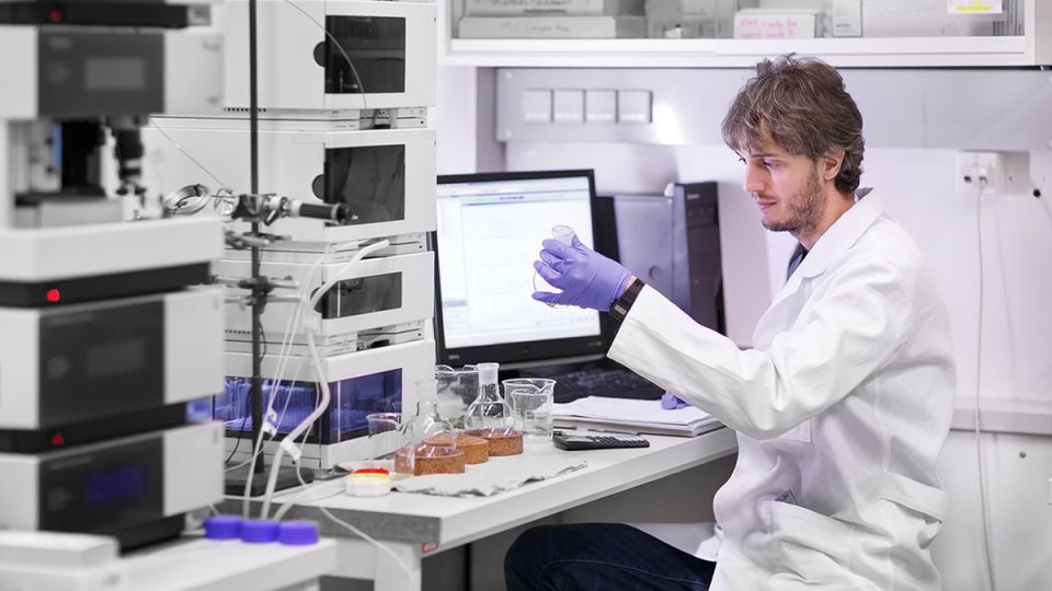 ������������ ���� �������� �����: ��� ���� ������?