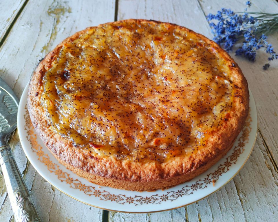 �������-�������� ����