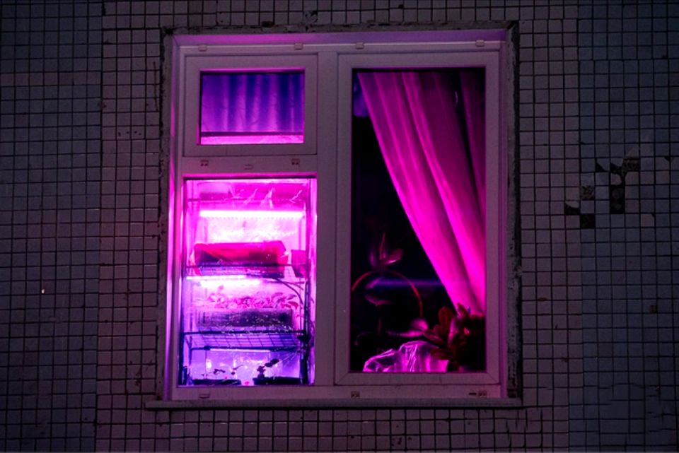 ������� ��� ����� ��� ��������� ����: ������� ������� ������