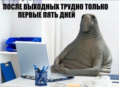  ,  !