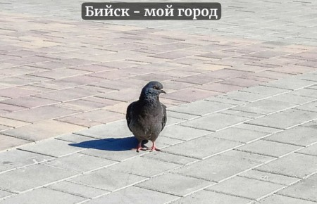  , !      ,   )          ,     