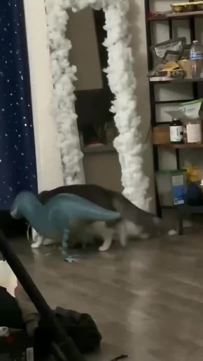  :      