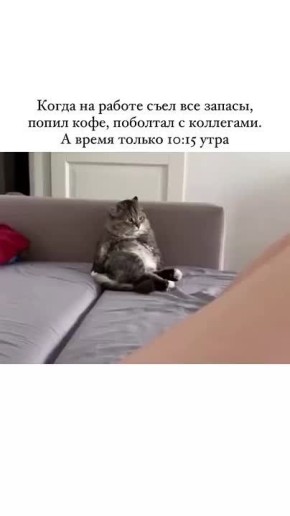  ,  !