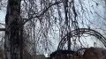 ВАлтайском крае существует 23 населённых пункта сназванием Берёзовка