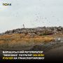 Регоператор барнаульской зоны ТКО "Экосоюз" ищет подрядчиков, которые возьмутся за транспортировку отходов в Индустриальном и Ленинском районах Барнаула