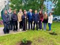 В Барнаульской школе 81 прошло открытие аллеи выпускников, которая станет новой традицией для учебного заведения