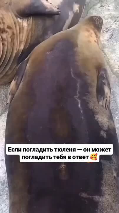  ,  !