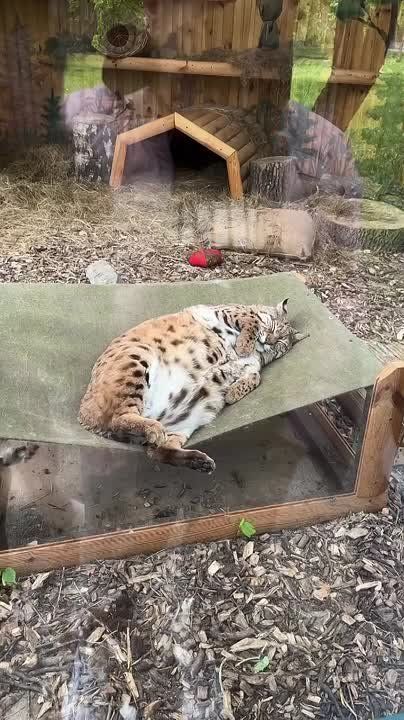  ,  !