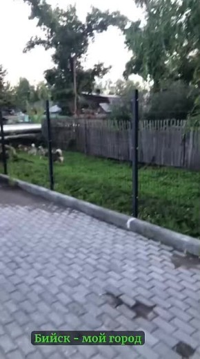 ,  6.      
