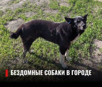   :     