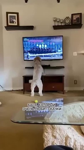  ,  !