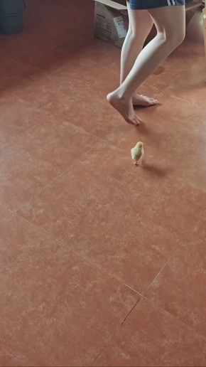 ,  ,     