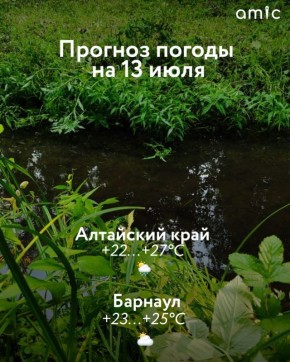         13 ,     
