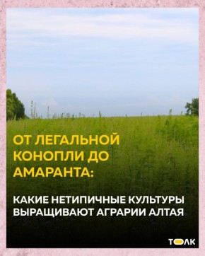      &quot;&quot;        