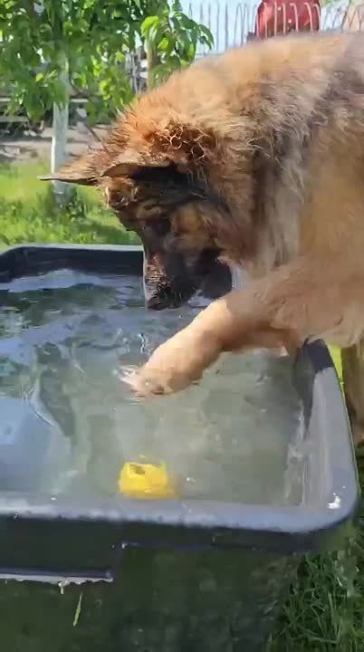  ,  !