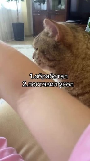  .  ,  !