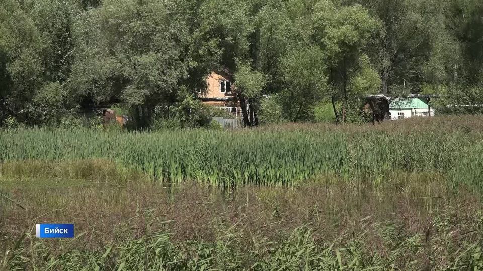 Неравнодушные бийчане просят спасти озеро Ковалёвское
