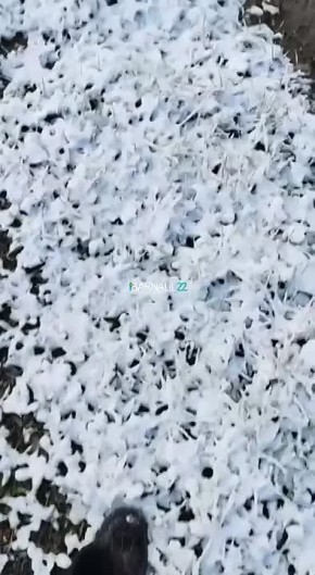На дворе август, а на Семинском перевале лежит снег