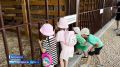 Сегодня в Белокурихе отпразднуют День города