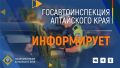 На территории Алтайского края стартовали рейдовые мероприятия по предупреждению ДТП с участием несовершеннолетних водителей мототранспорта и мототехники