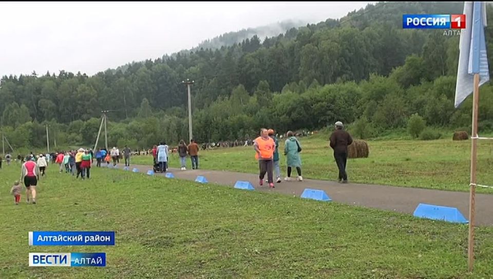 Более 300 человек поднялись на гору Муха в Алтайском районе