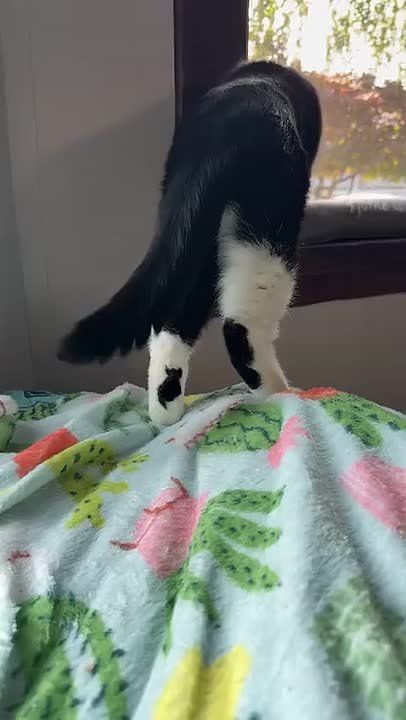  ! Ӡ     
