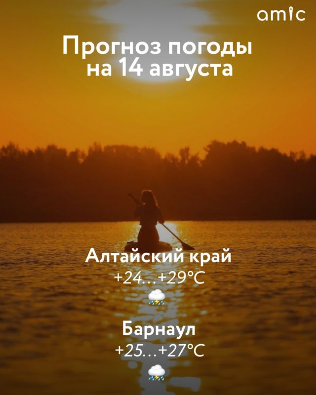   +29   14     