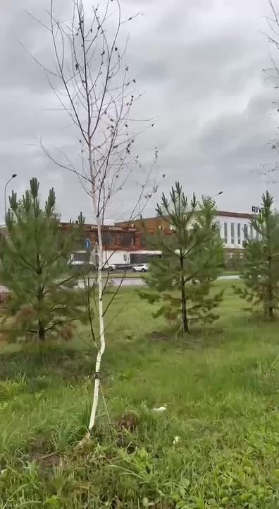     ,    ,   